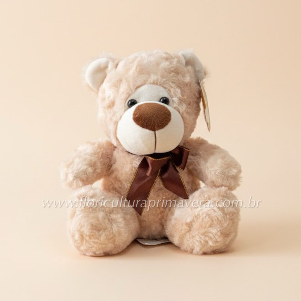 Urso pelúcia 22cm